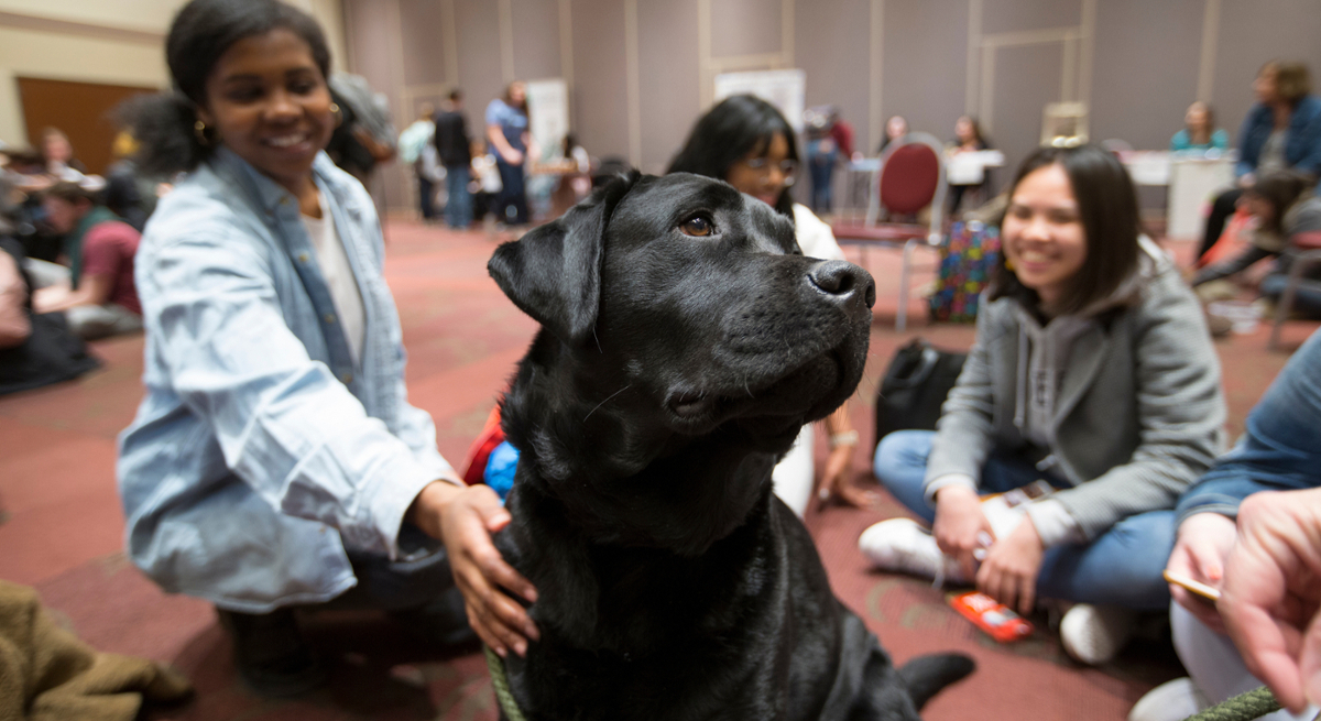 Students petting a black therapy dog at a stress less day event.