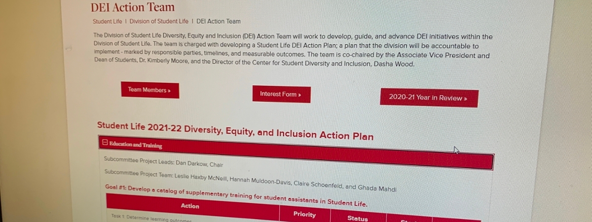 Screenshot of the Student Life DEI Action Team website.