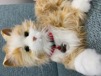 Millie, the robot cat
