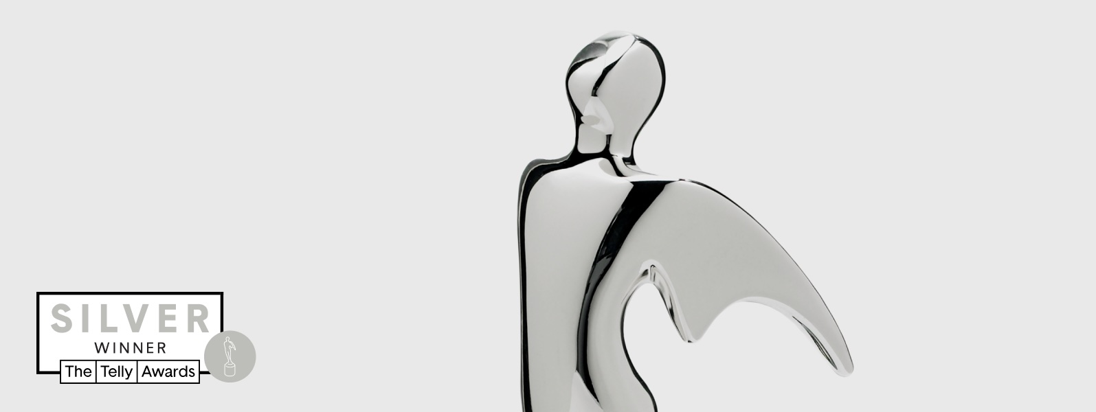Silver Telly Award