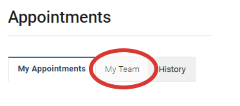 An image displaying how to reach the "My Team" tab in Navigate Student.