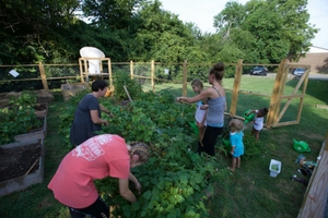 Working in community garden