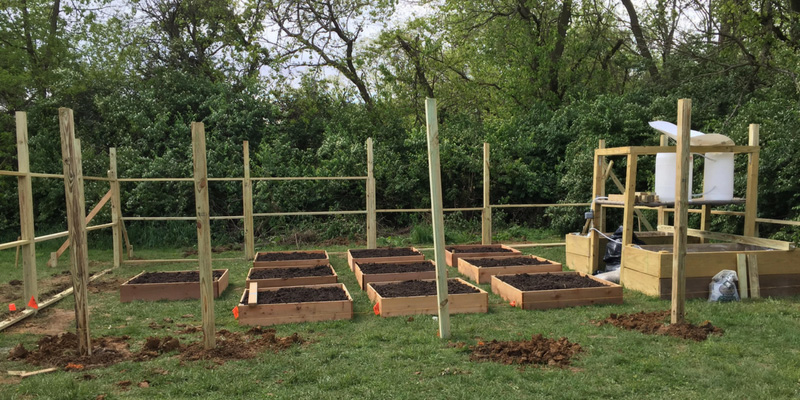A garden of raised beds ready to be planted