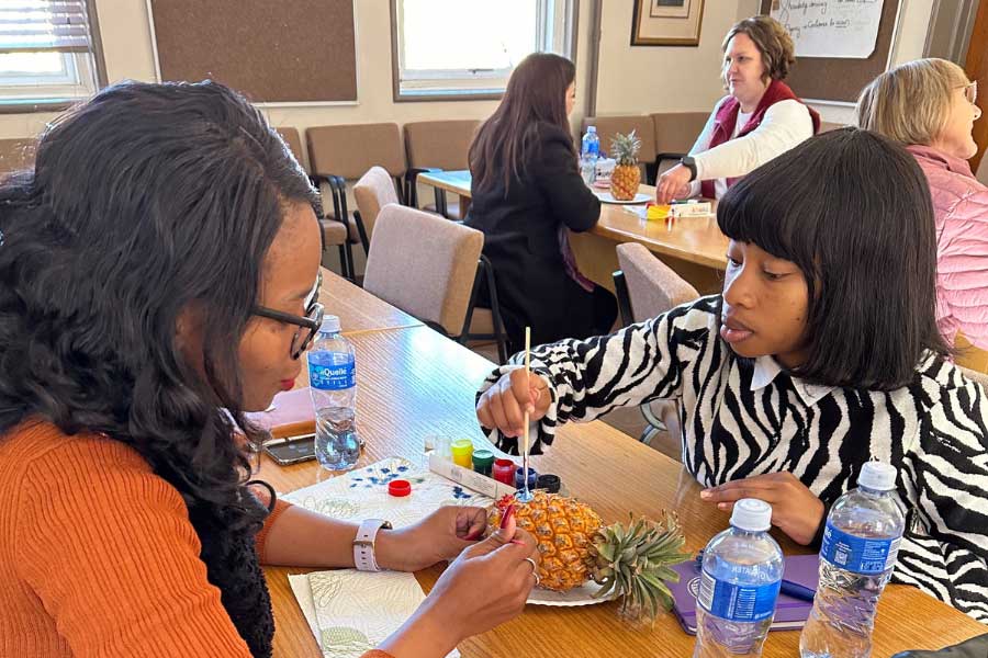 a professional development workshop given by Ann and two North-West colleagues on Fibonacci sequences and the role they play in Indigenous knowledge.