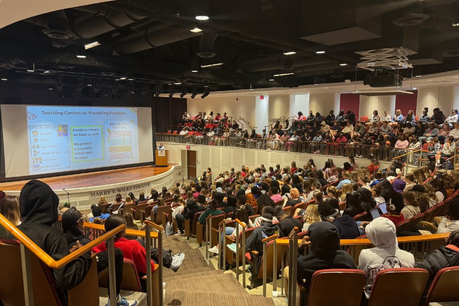 Carla Shalaby's Conference