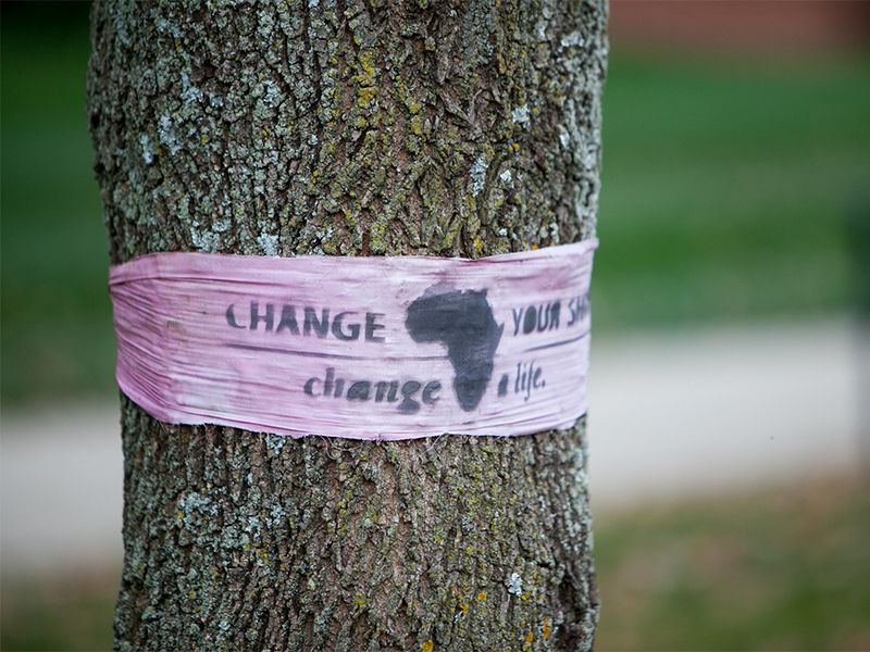 band on a tree that says "change a life"