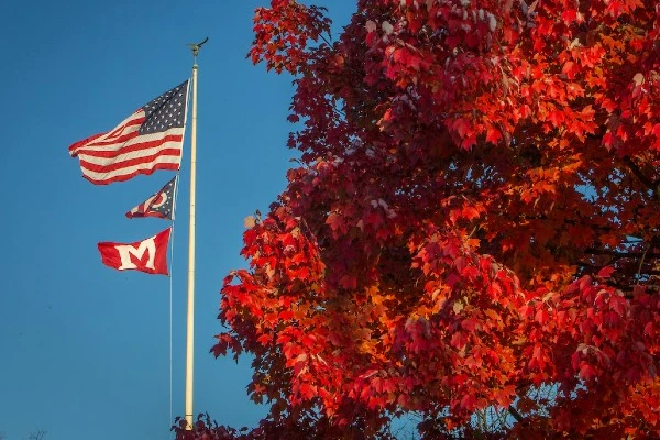 United States of America, Ohio and Miami flags flying with tree in foreground