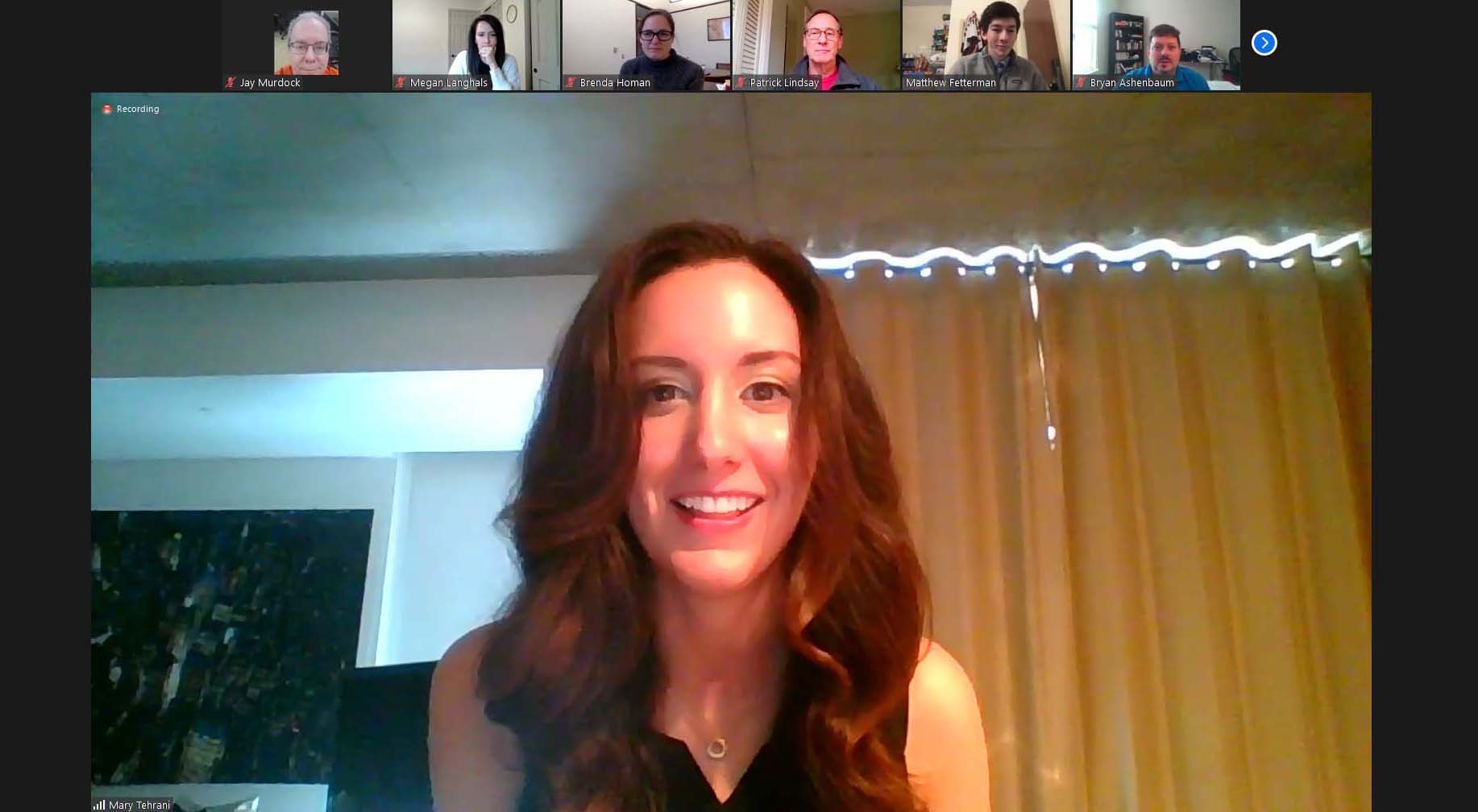 Screenshot of a zoom call