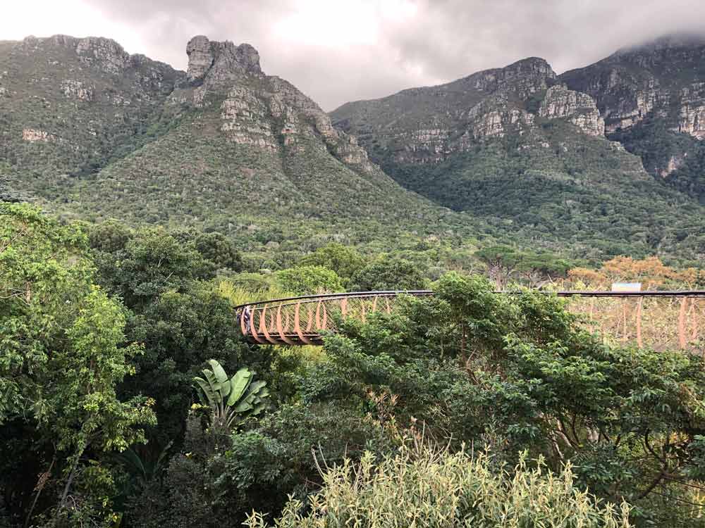 suspended, covered pedestrian bridge among vegetation with mountains in the distance in South Africa
