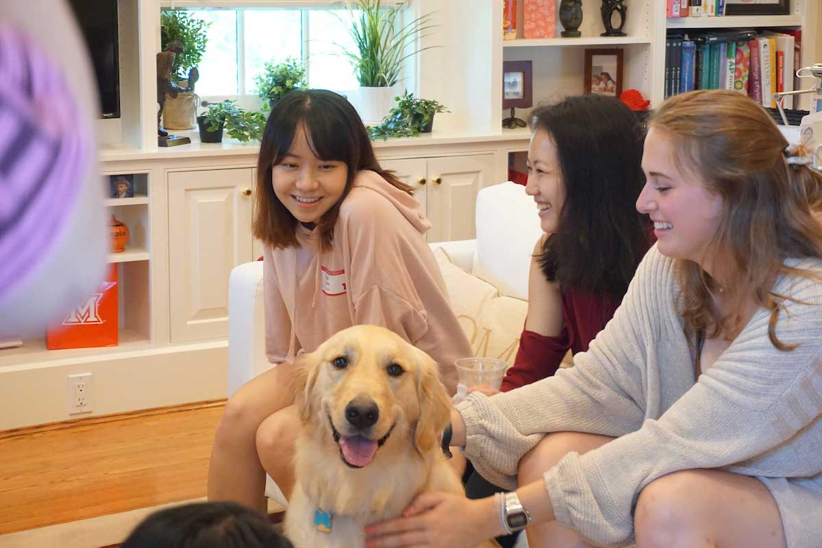 students petting a dog