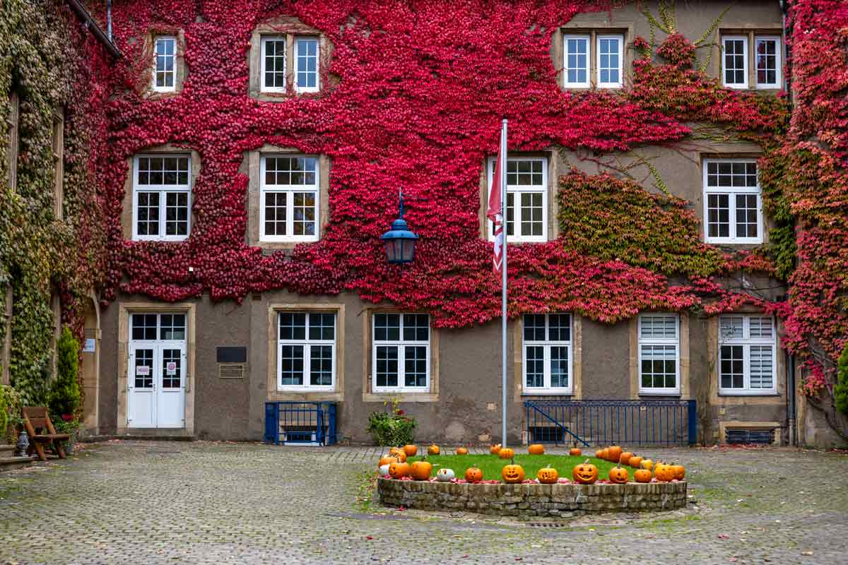 vines and red leaves growing on the chateau walls with pumpkins circling the flagpole