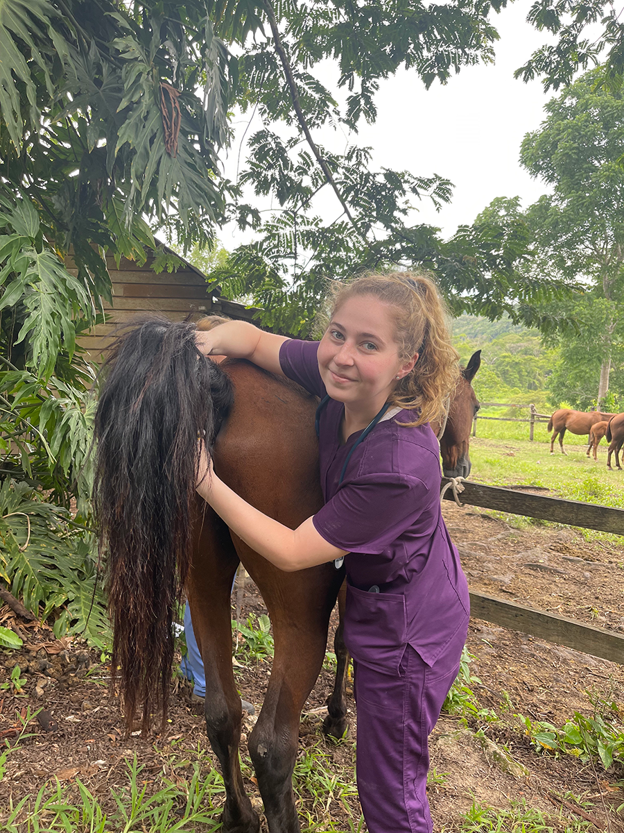 Dressed in medical scrubs, Grace tends to a horse