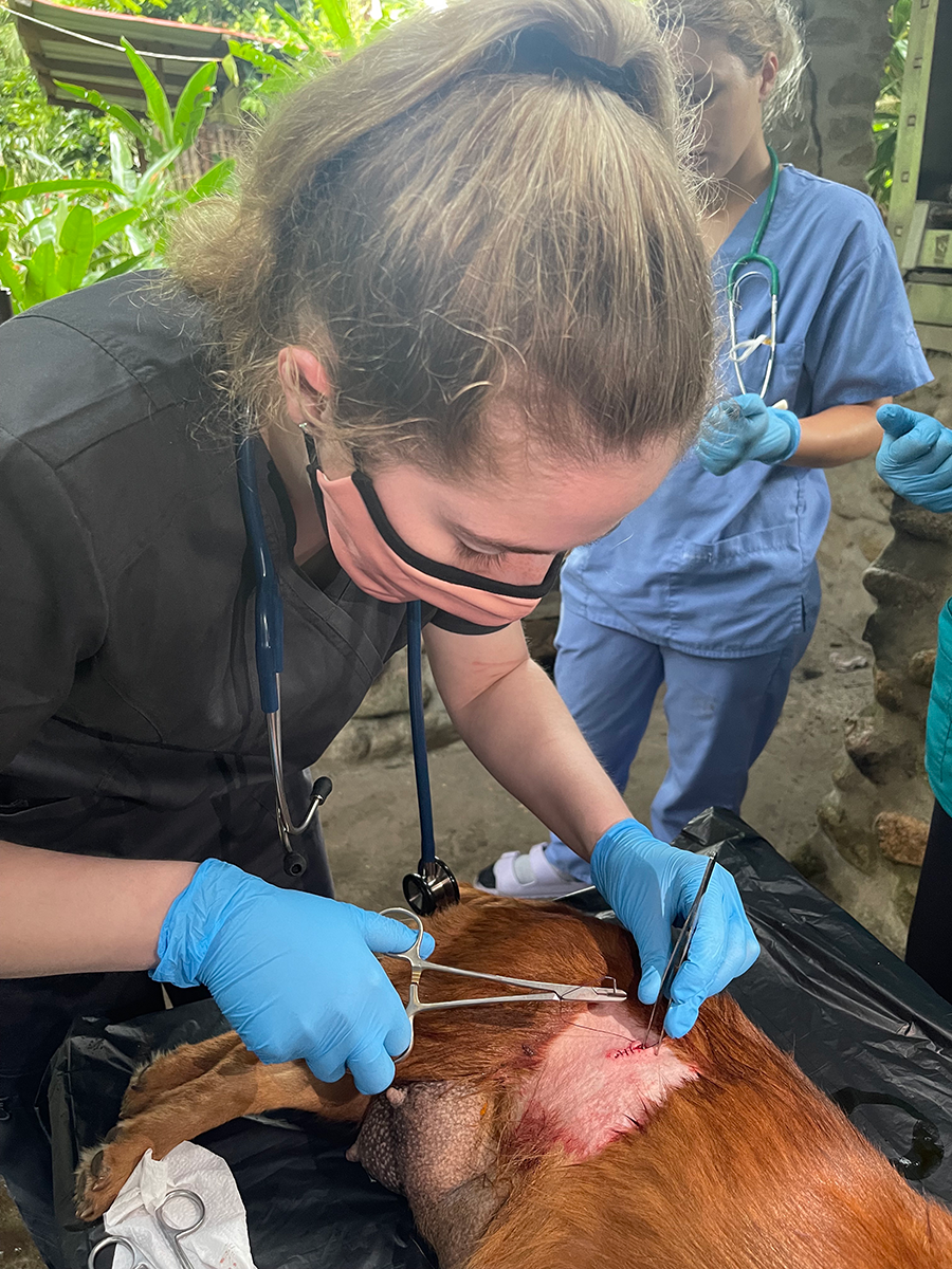 Grace performs surgery on a patient