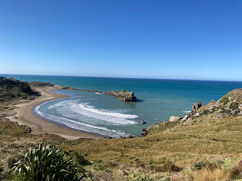 Wairarapa Castlepoint Scenic Reserve