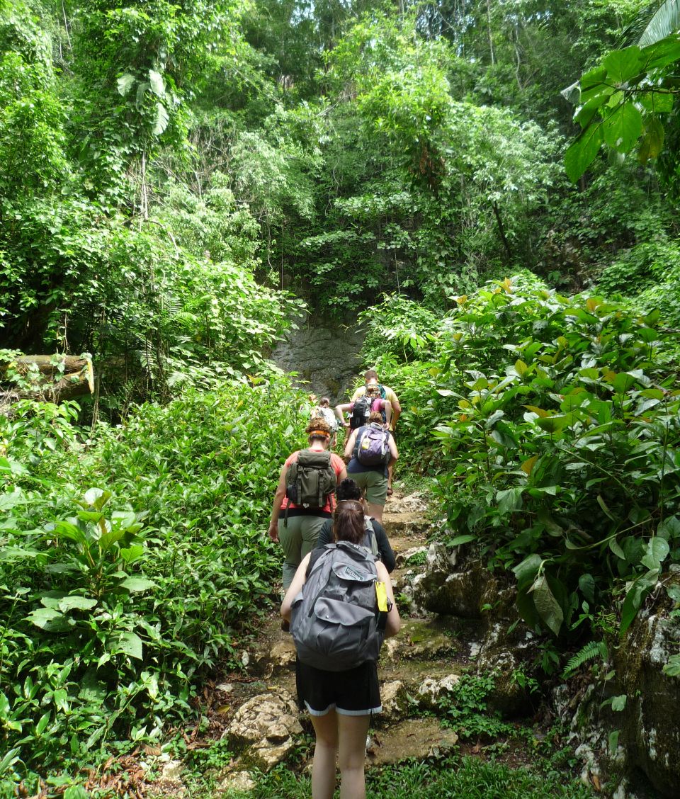people hiking