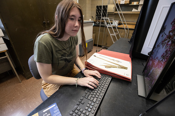 student working on herbarium projects