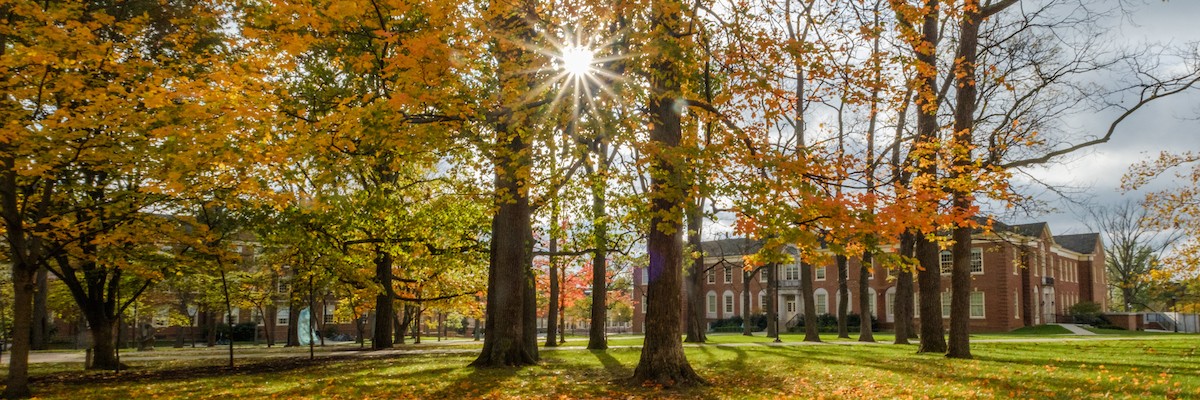 The sun shines through fall trees on Miami's Oxford, Ohio campus