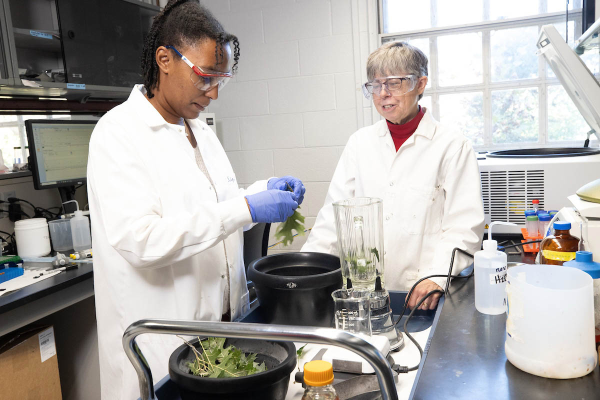 nutrition professionals working