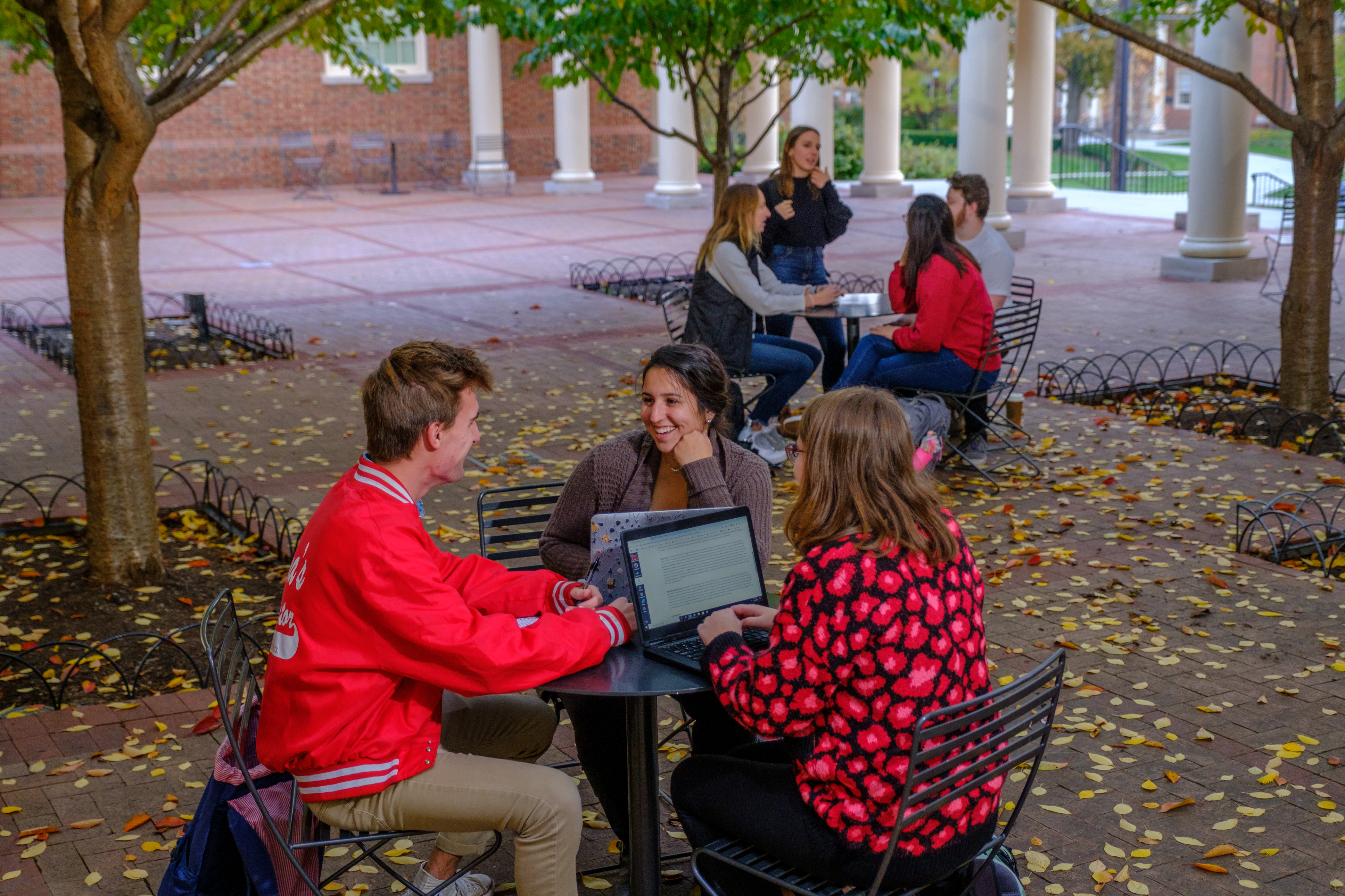 a group of students sitting outside with their laptops open