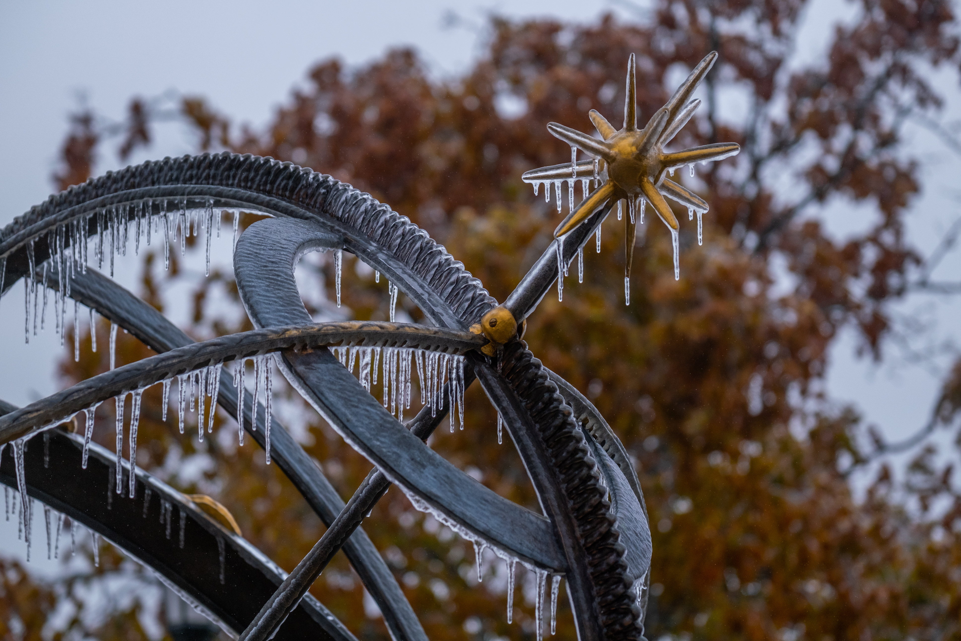 winter-beauty-campus.jpg