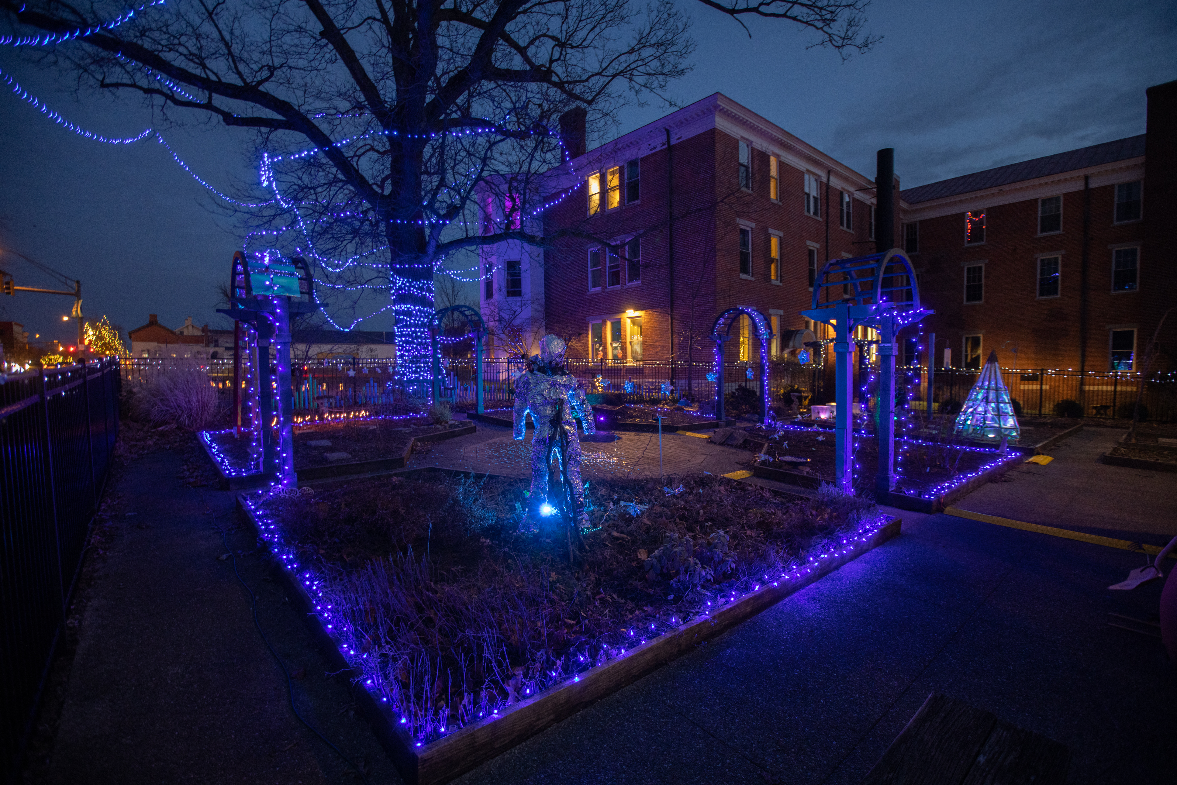 Outdoor area decorated with Christmas lights
