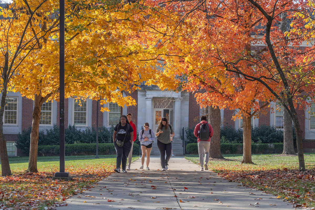 Students walking under fall leaves looking at their phones