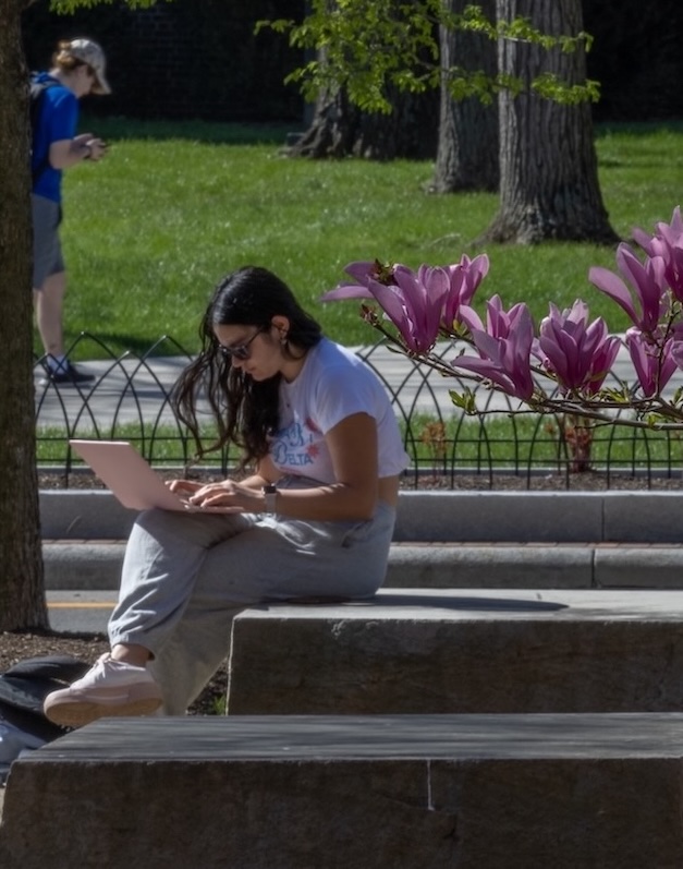 A student working on her laptop and sitting behind a flowering tree