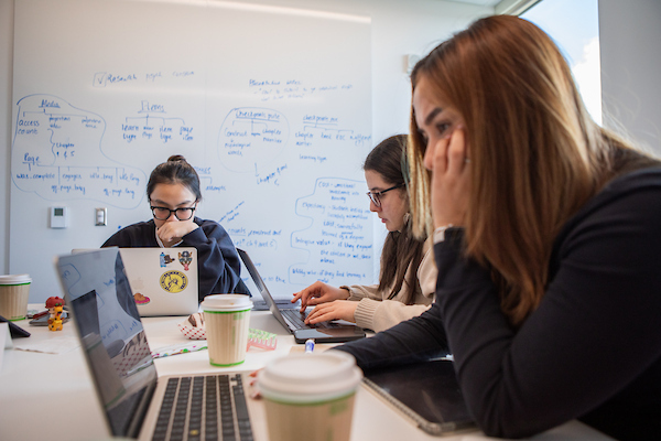 Students in a study room on their computers