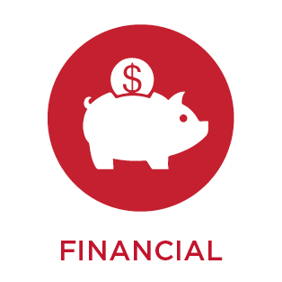 financial wellness icon