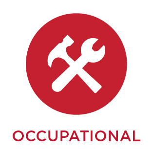 occupational wellness icon