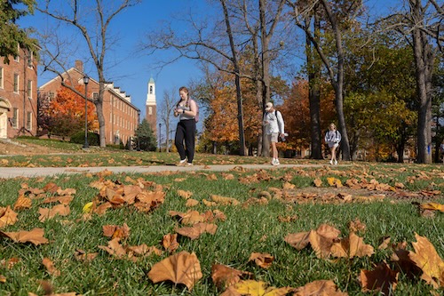 fallen leaves in the foreground, students walking between classes in the background. 
