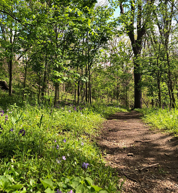 silvoor loop trail