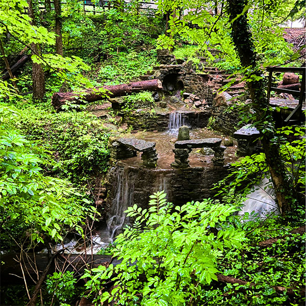 Silvoor Biological Sanctuary waterfall by Raed Gazi