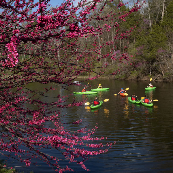 students kayaking in a pond