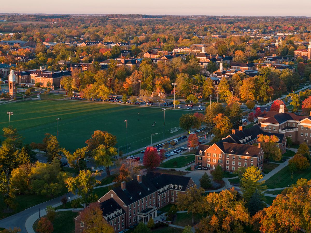 Aerial view of Cook Field, the grassy sports field that is the potential site of the new arena