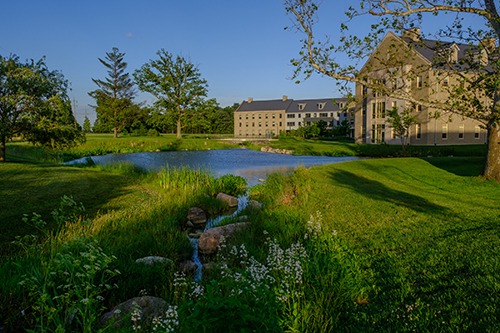 summer-pond
