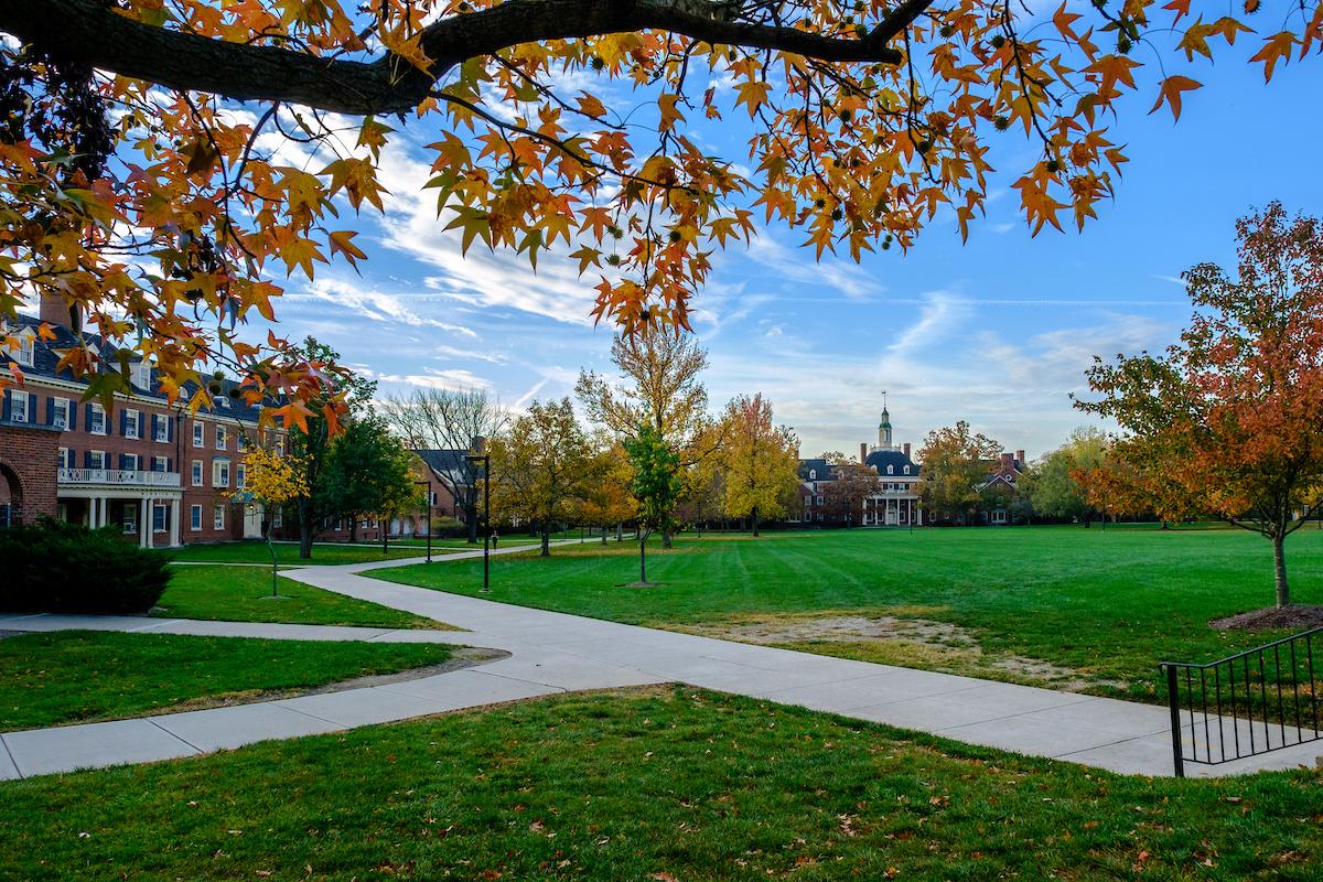 Campus lawn in the fall