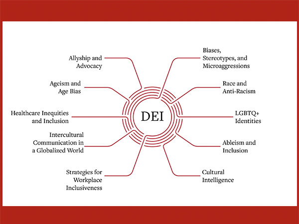 dei infographic