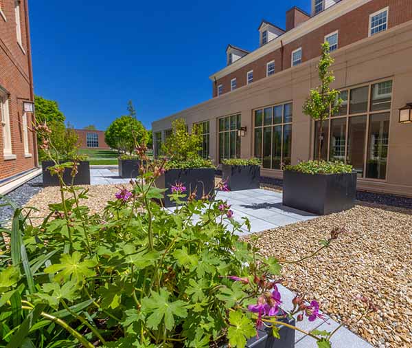 View of the healing garden at the CHSW - raised planters with creeping geraniums and other plants set in a path of crushed stone