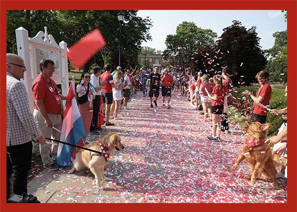 Newton (left) and Ivy , golden retrievers, enjoy the Alumni parade