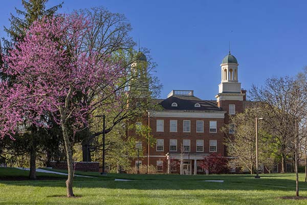 Harrison Hall in the spring time