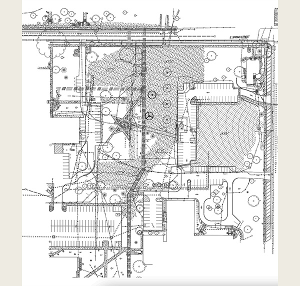 Site restoration and landscape plan for the area between Nellie Craig Walker Hall and S. Oak Street (drawing courtesy of the Kleingers Group)