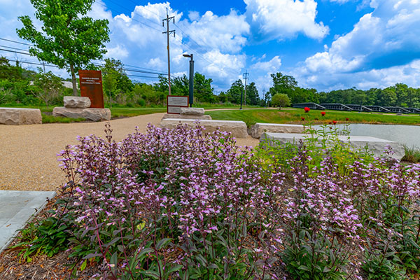 summer flowers , pond, and the path to the main gateway of the mitchell sustainability park