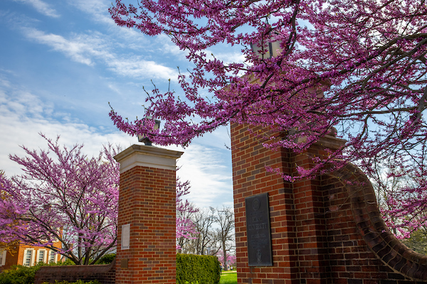gates on campus