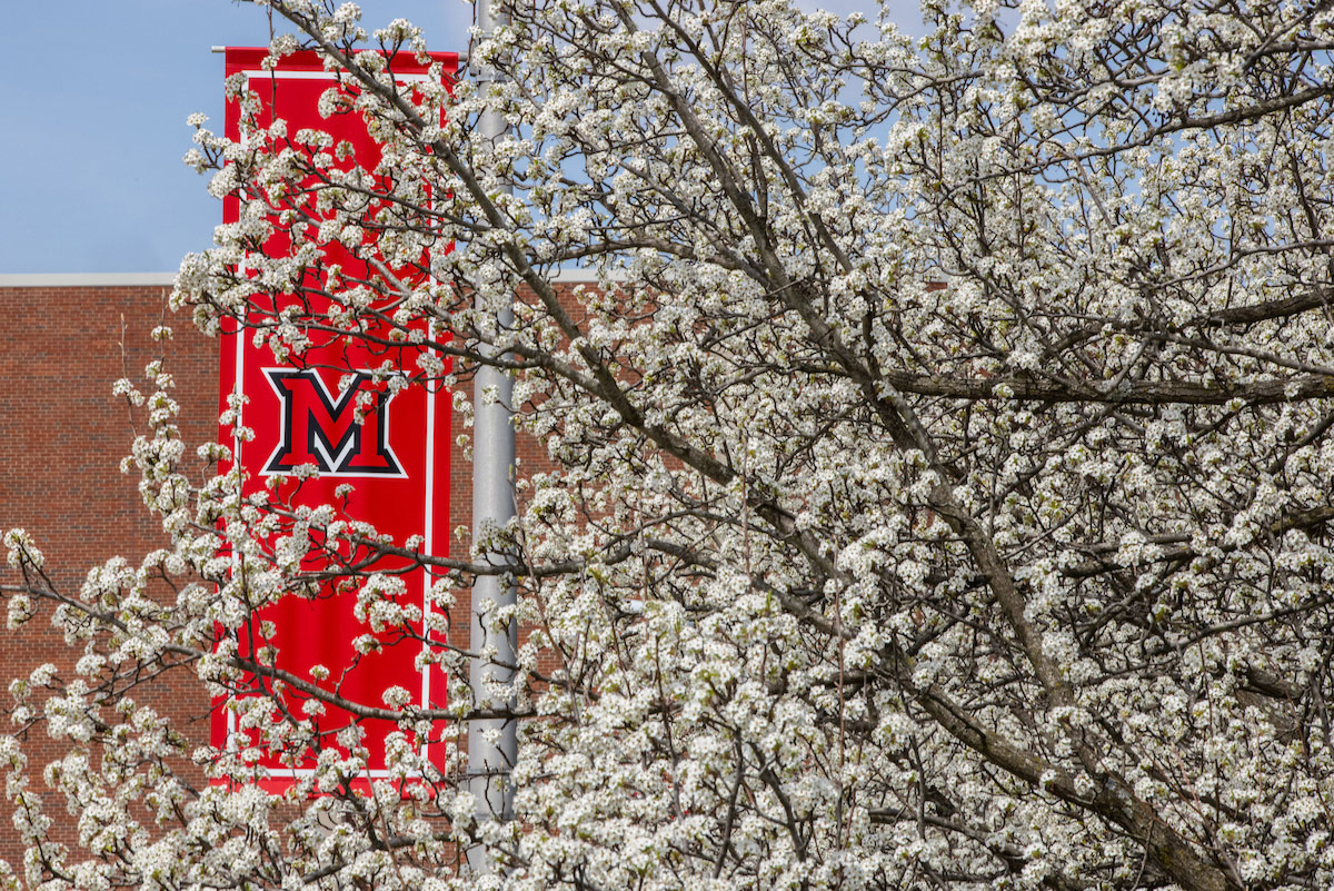 A red M banner framed by tree with white blossoms.