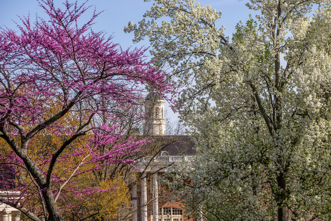 A flowering pink redbud tree and a white flowering tree frame MacCracken Hall in the background.