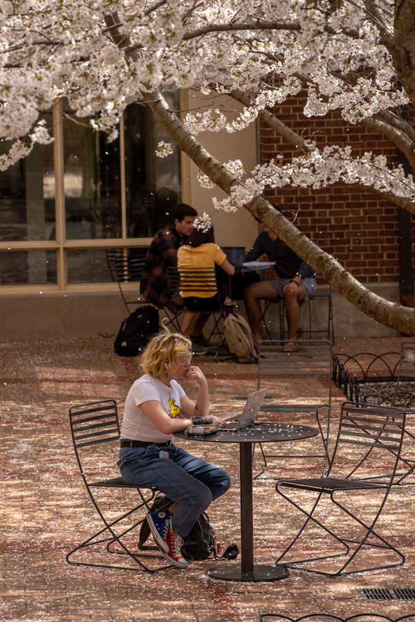 Students sit at tables on the Armstrong Student Center’s outdoor plaza with a flowering white tree.