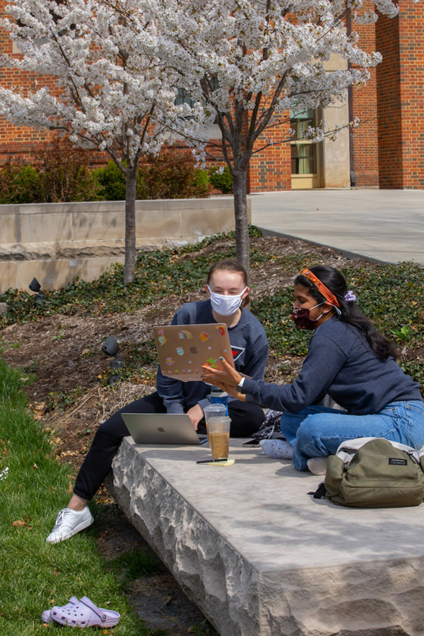 Two students with a laptop sit on a stone bench in the Fine Arts Plaza with white flowering trees in the background.