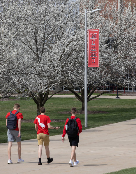 Three students walk towards Millett Hall with a Miami banner and white flowering trees in the foreground.