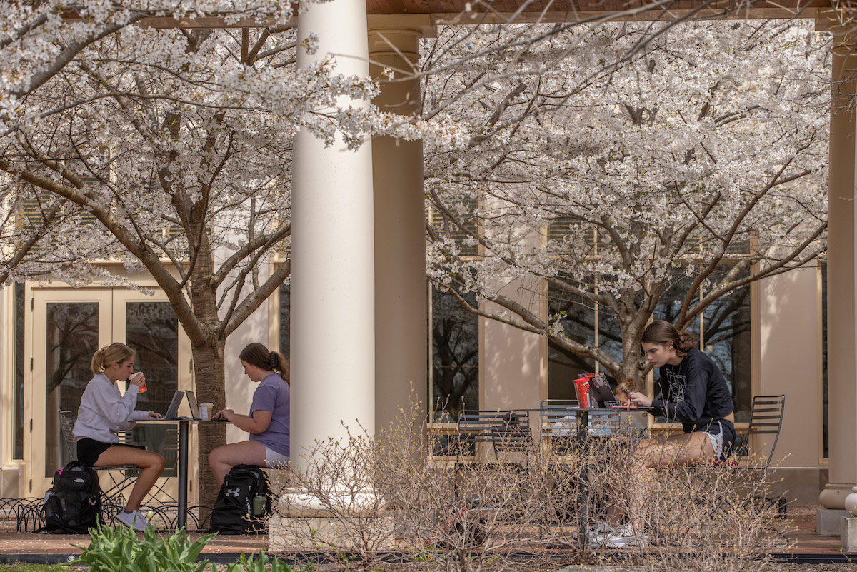 Students with laptops sit at tables in the Armstrong Student Center outdoor plaza framed by white flowering trees.